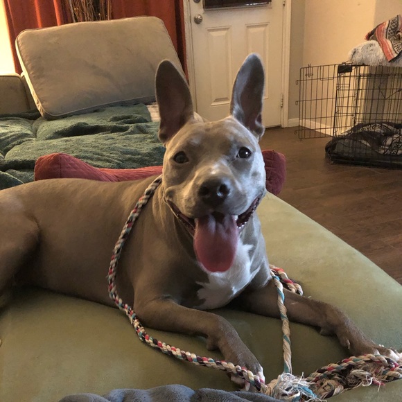 Meet your Posher, Trish 🤩 - Picture 6 of 16